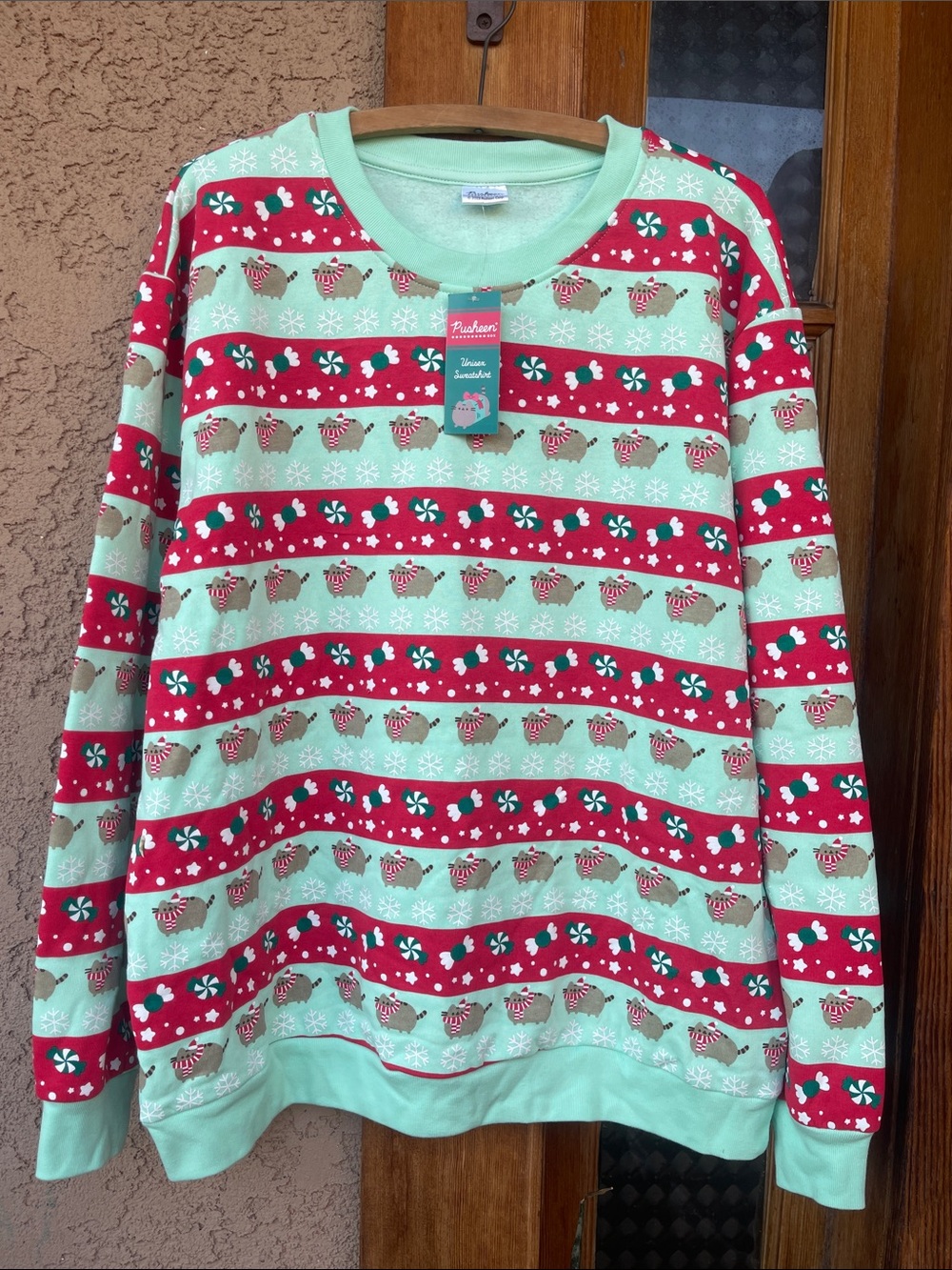 Pusheen Ugly Christmas Sweater Mint and Red Holiday Stripe